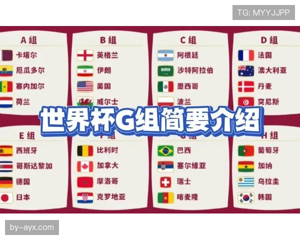 世界杯G组关键数据解读